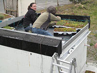 Green Roof Research - ICF Structure Greening 1