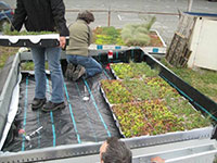 Green Roof Research - ICF Structure Greening 2